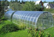 Теплицы и парники