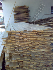 Ракушняк крымский