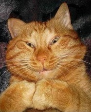 Отделочные работы в Одессе.