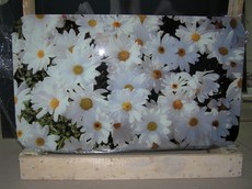 Стеклянные столешни с фотомолекулярной полноцветной печатью.