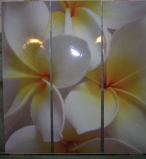 Зеркальные фасады с фотомолекулярным полноцветом.