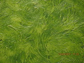 Декоративная штукатурка-нанесение.