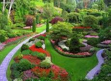 Укладка тротуарной плитки, благоустройство территроий