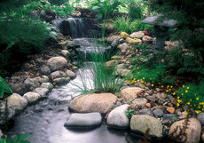 ландшафтному дизайн