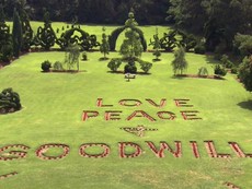 ландшафтный дизайн