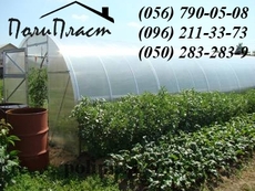 Теплицы Днепропетровск