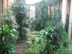 проектировка зимних садов