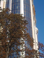 Ремонтно -строительные работы