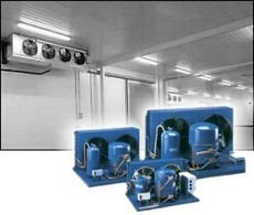 Промышленный холод. Промышленное строительство. Холодильное 