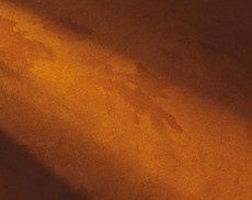 Венецианская штукатурка. Декор.