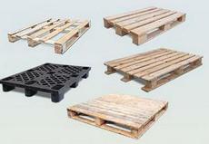 Купим поддоны.