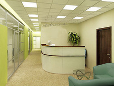 ремонт и строительные работы