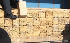 Камень-ракушка