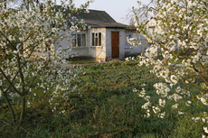 Продам будинок у Переяславі