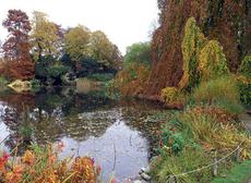 Созданию природных водоёмов S 100 м2 – 7000$