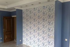 Косметический и Капитальный Ремонт Квартир. Киев