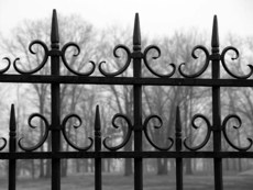 Заборы, ворота, ограждения, калитки из металла от изготовите