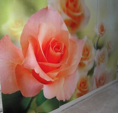 Корпусная мебель и комплектующие от изготовителя.