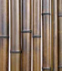 Бамбуковый ствол, обои, изделия, Киев