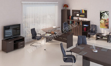 Кабинет руководителя Диалог. Название компании:ТОВ Техно Ар