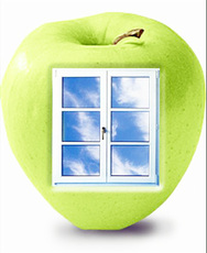 Окна от производителя