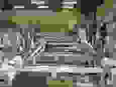 Сварочно зачистная линия Hollinger-Rotox