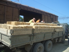 Ракушняк М25