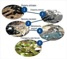 Акваконсалтинг