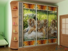 Акция! Шкафы-купе- Доставка и сборка бесплатно!