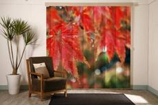 Смена интерьера окна - шторы!