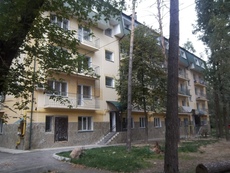 Строительство жилых и промышленных зданий