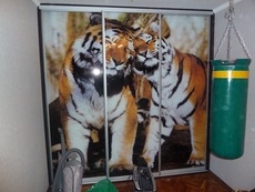 Шкаф купе по индивидуальному проэкту, заказу