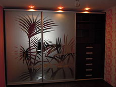 Шкаф-купе под заказ, по индивидуальным проектам -Для дома: в