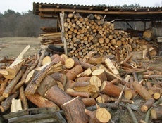 Продаю дрова