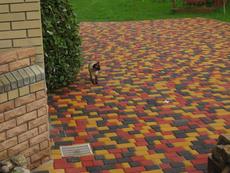 Укладка тротуарной плитки,