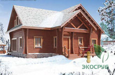 Лес зимней рубки