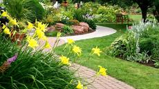 Ландшафтный дизайн и озеленение