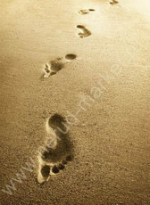 Песок речной сеяный