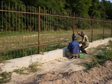 Заборы с металопрофиля (профнастила)