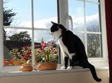 Ремонт ПВХ окон в Киеве и киевской области (от 30грн)