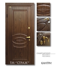 Металеві двері