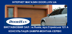 Секційні ворота DoorHan RSD 01 розмір 2400 мм х 2500 мм
