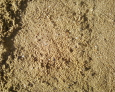 Вознесенский песок