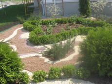 Ландшафтный проект