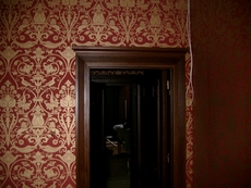 Поклейка всех видов