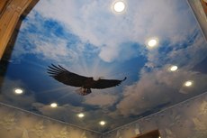 Глянцевые и матовые натяжные потолки в Кривом Роге, замер бе