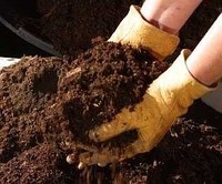 Перегной коровий 50 кг