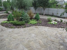 Озеленение в Днепропетровске