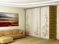 Шкафы-купе под заказ