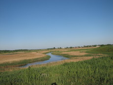 Продам участок в Орловщине